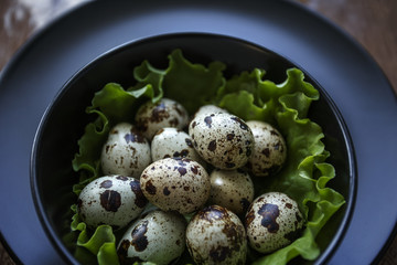 Quail Eggs