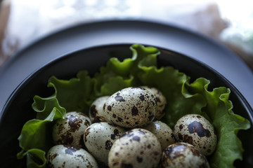Quail Eggs