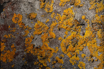 Old brown grunge concrete background