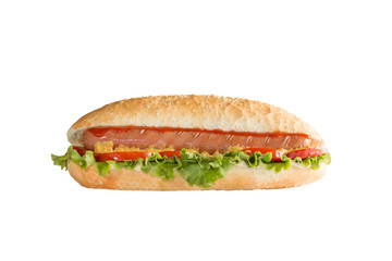 Hot dog sandwich on white background