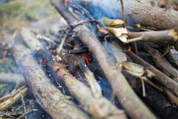Old dry tree branches in the fire for background. Natural and ecological texture. Flame with smoke in the forest for barbecue. Early spring or summer outdoors photo.
