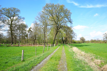 Versmolder Bruch Natural Preserve in Kreis Guetersloh, Westphalia, Germany