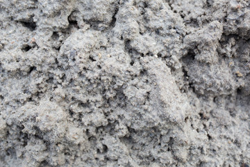 Grey dust texture outdoors in the forest. Sandy corals background. Realistic natural spongy photo.