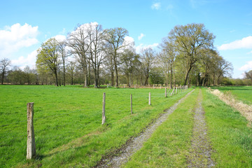 Natural preserve Versmolder Bruch near Guetersloh in East Westphalia, North Rhine-Westphalia, Germany
