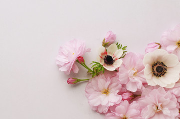floral background of cherry and anemone flowers 