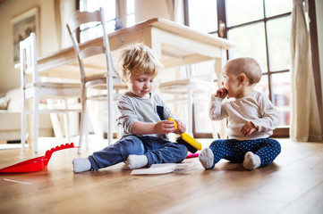 Two toddlers with brush and dustpan at home.