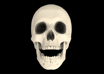 Pirate Skull - 3D