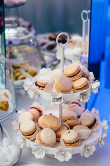 Sweet pastel french macaroons.