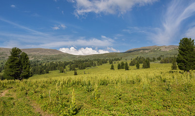 Fototapeta na wymiar Beautiful summer landscape on top of Altai Krai mountains.