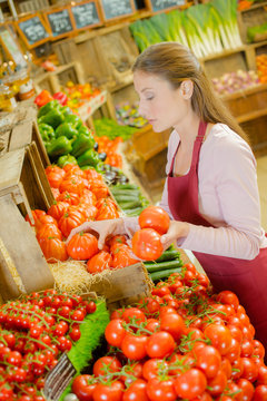 Shop assistant sorting out tomatoes