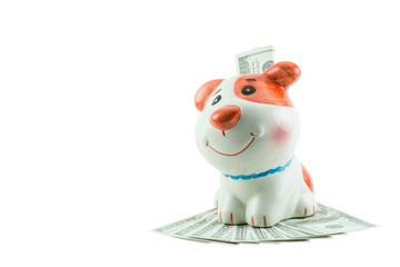Piggy Bank with Ceramic Dog Shape with Cash. Isolate from whtie background.