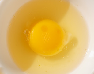 egg