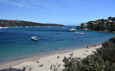 Chinamans beach with palm trees. Entrance of Sydney Harbour with North Head and South Head in the background.