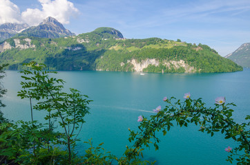 Traumhafte Aussicht auf Vierwaldstettersee