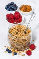 healthy breakfast. granola and fresh berries on white background, vertical