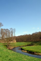 Fototapeta na wymiar beautiful spring landscape with river, grass and blooming trees, Germany, Leipzig