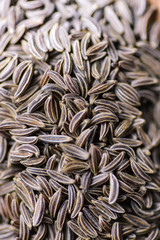 Cumin seeds or caraway isolated close up