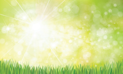 Vector summer, bokeh,  nature  background with green grass border.