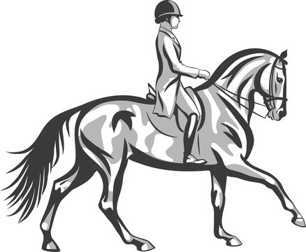 A dressage rider on a horse execute the canter.