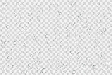 Vector Water drops on glass. Rain drops on transparent background