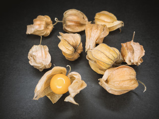 Physalis (Cape gooseberry) on dark background. Color toned.