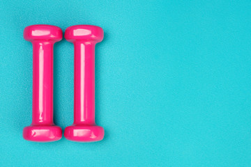 Pink dumbbells on the sport mat