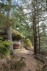 retail of narrow path for hiking in the forest