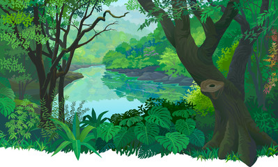Dense, green tropical forest and a flowing fresh water river.
