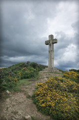 Dodman point cross and yellow gorse flower Cornwall