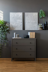 Grey living room interior