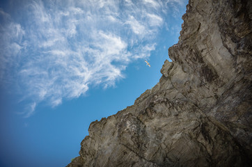 Fototapeta na wymiar Seagull flying over the rock