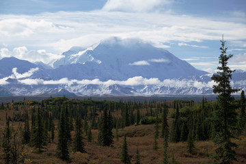 デナリ国立公園,アラスカ