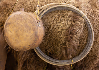 Bison hide with the fur on and and old water bottle and lariat