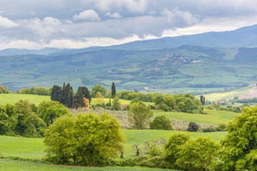 View of a valley with fields and trees