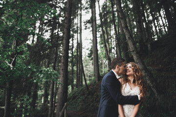 Romantic, fairytale, happy newlywed couple hugging and kissing in a park, trees in background