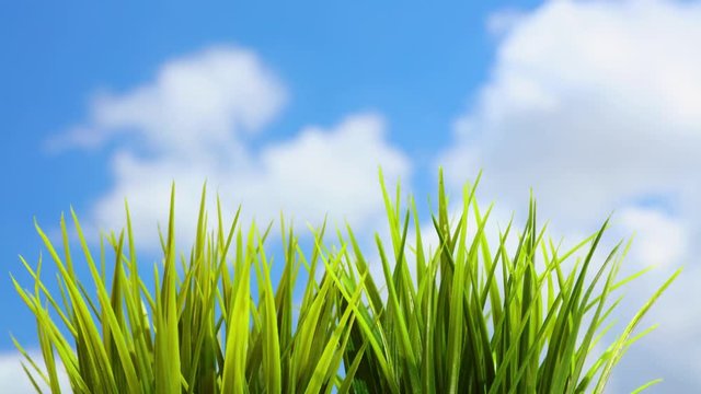 Time lapse photo of a fresh green grass against the backdrop of a rapidly running sky, spring time nature. Full HD Video 1920x1080