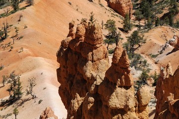 Felslandschaft mit Hoodoos, Bryce Canyon Nationalpark, Utah, Amerika, USA, Nordamerika