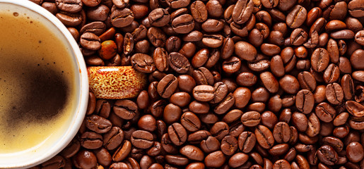 Tasse Kaffee steht in Kaffeebohnen, Panorama Hintergrund