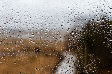 A rainy windowsill in Maine. 