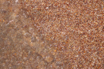 background of seashells with brine