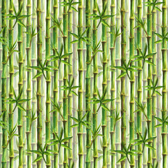 Fototapeta na wymiar Green bamboo forest seamless pattern