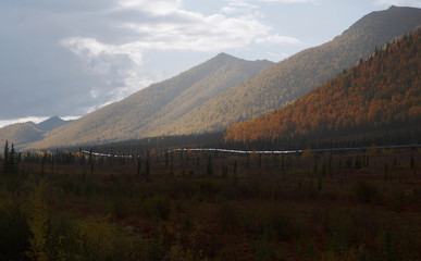 パイプライン,アラスカ