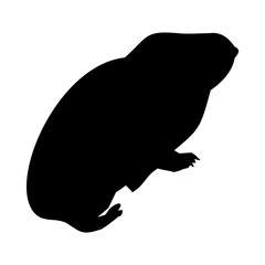 icon Animal with pictogram, clip art, cavy, desing and zoo