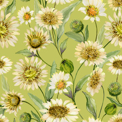 Beautiful yellow daisy flowers with green leaves on light green background. Seamless spring pattern. Watercolor painting. Hand painted floral illustration.