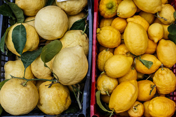 Bright yellow ripe lemons in the boxes. Lemons on the market, Italy