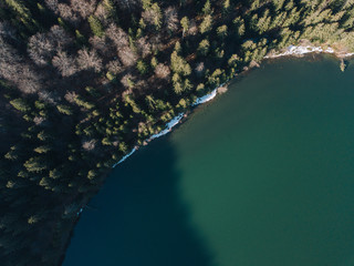 Crater Lake and pine forest from above