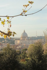 Fototapeta premium view of the Vatican city