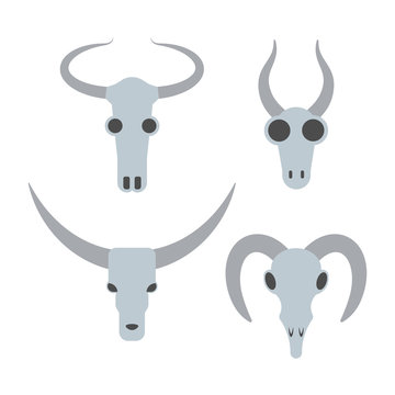 animal skull set