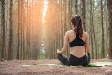 Beautiful Asian young woman lying on green mat and doing yoga in forest. Exercise and meditation concept. Peaceful and countryside concept. Pine wood in summer theme. Back view