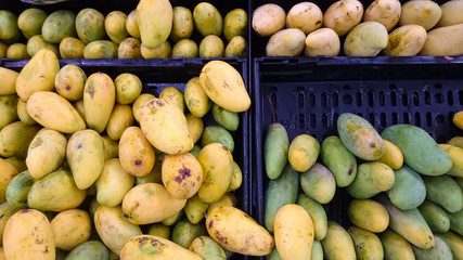 Mango in the bucket